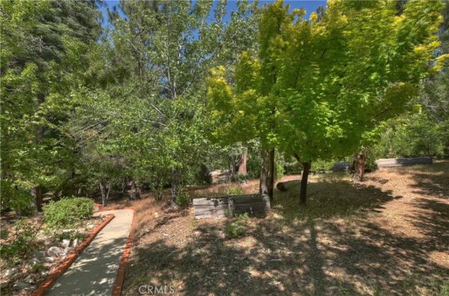 29729 Katharine, Cedar Glen, CA 92321