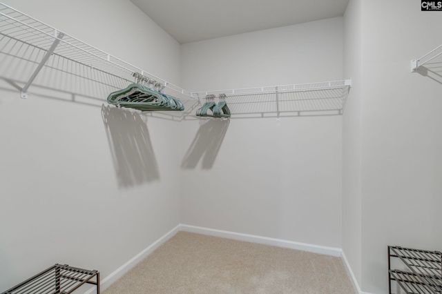 1318 Crosshill Court F, Camden, SC 29020