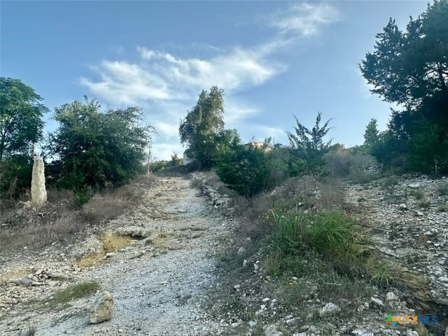 21607 Cold Spring Drive, Leander, TX 78641