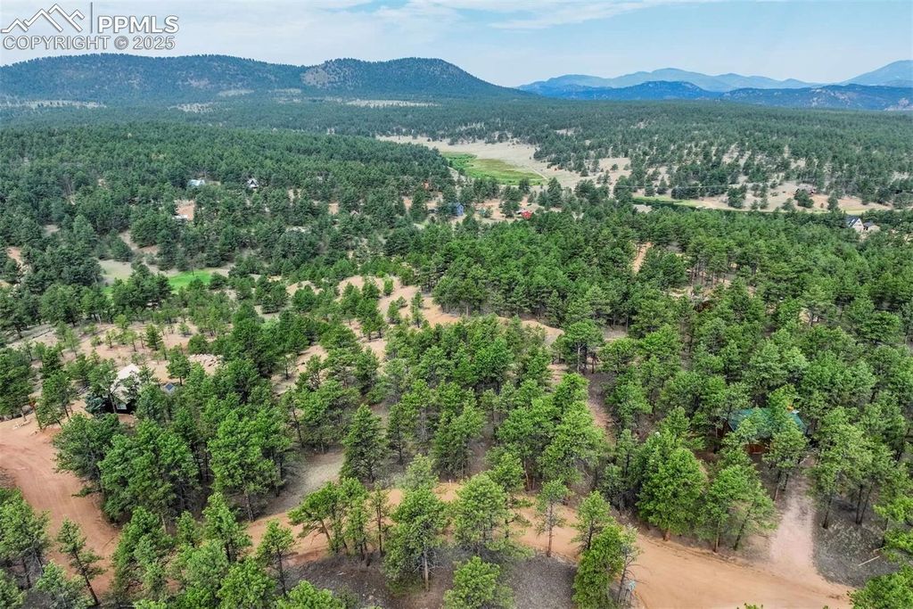 39 Reed Drive, Florissant, CO 80816 — exterior