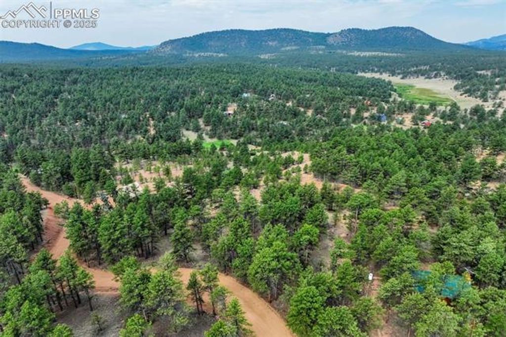 39 Reed Drive, Florissant, CO 80816 — photo 2