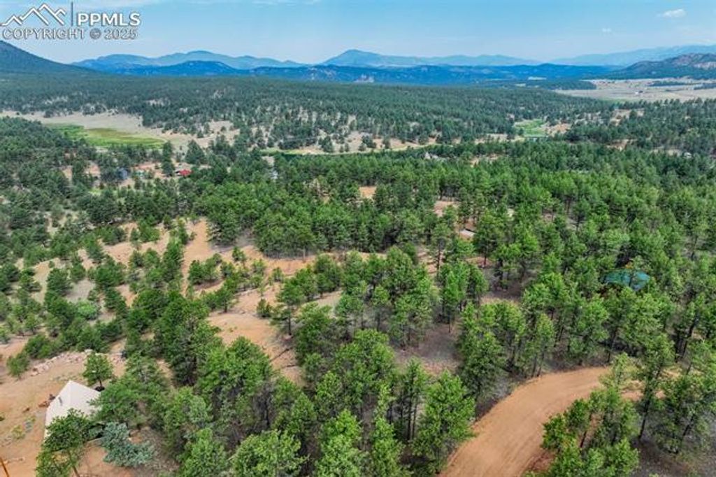 39 Reed Drive, Florissant, CO 80816 — photo 3