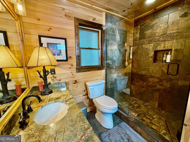 135 Bandit Lane, Blue Ridge, GA 30513