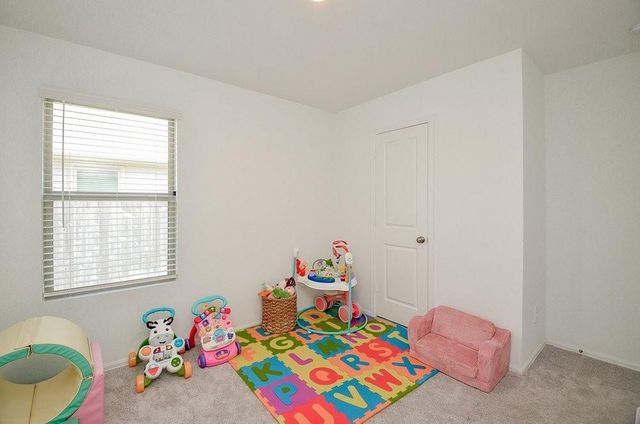 342 Birch Blossom Path, Magnolia, TX 77354