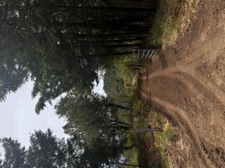 +/- 80 Acres Conklin Creek Road, Mattole, CA 95558