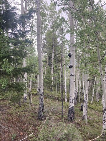 Lot 6858 Starkweather Road, San Luis, CO 81152