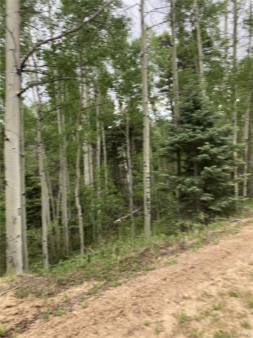 Lot 6858 Starkweather Road, San Luis, CO 81152