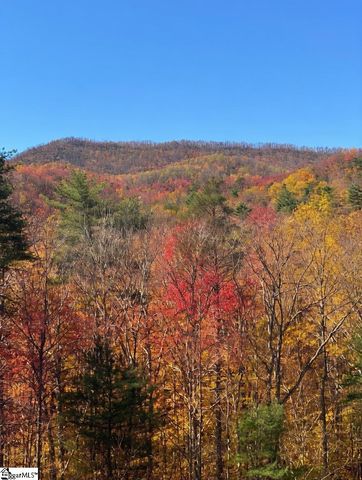 209 Falcon Crest Way, Pickens, SC 29671