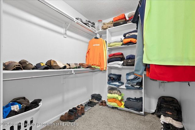 6195 Fishbrook Lane, Dimondale, MI 48821