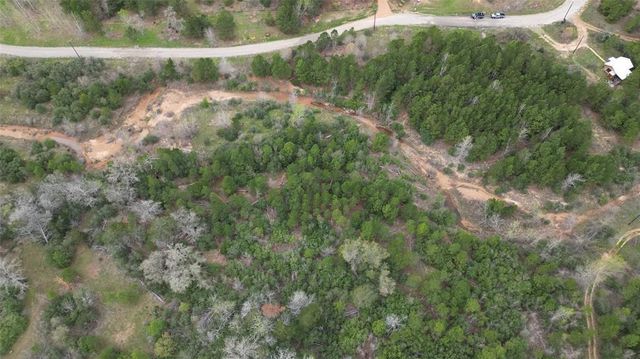 233 Winfield Thicket RD, Bastrop, TX 78602
