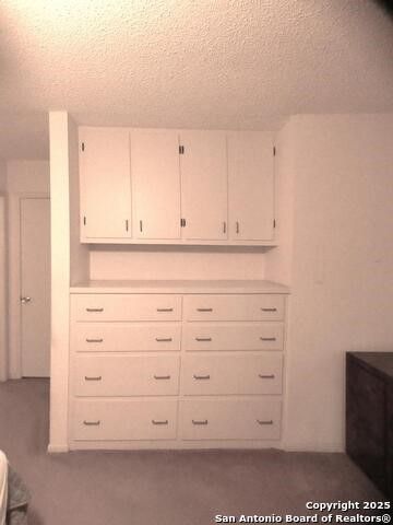 40 Encino Loma, Beeville, TX 78102