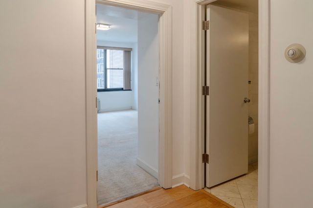 850 N Dewitt Place 10G, Chicago, IL 60611