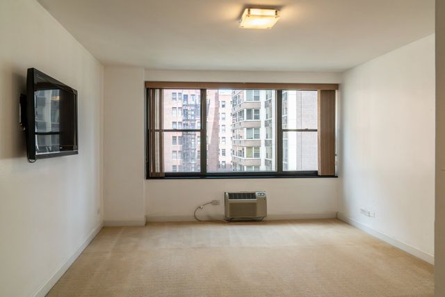 850 N Dewitt Place 10G, Chicago, IL 60611