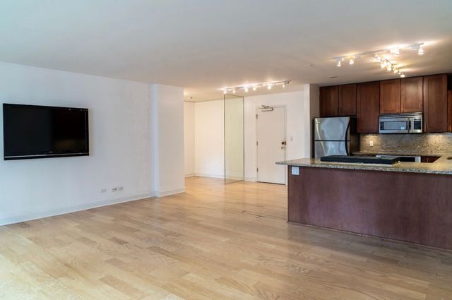 850 N Dewitt Place 10G, Chicago, IL 60611