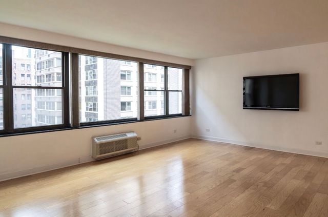 850 N Dewitt Place 10G, Chicago, IL 60611