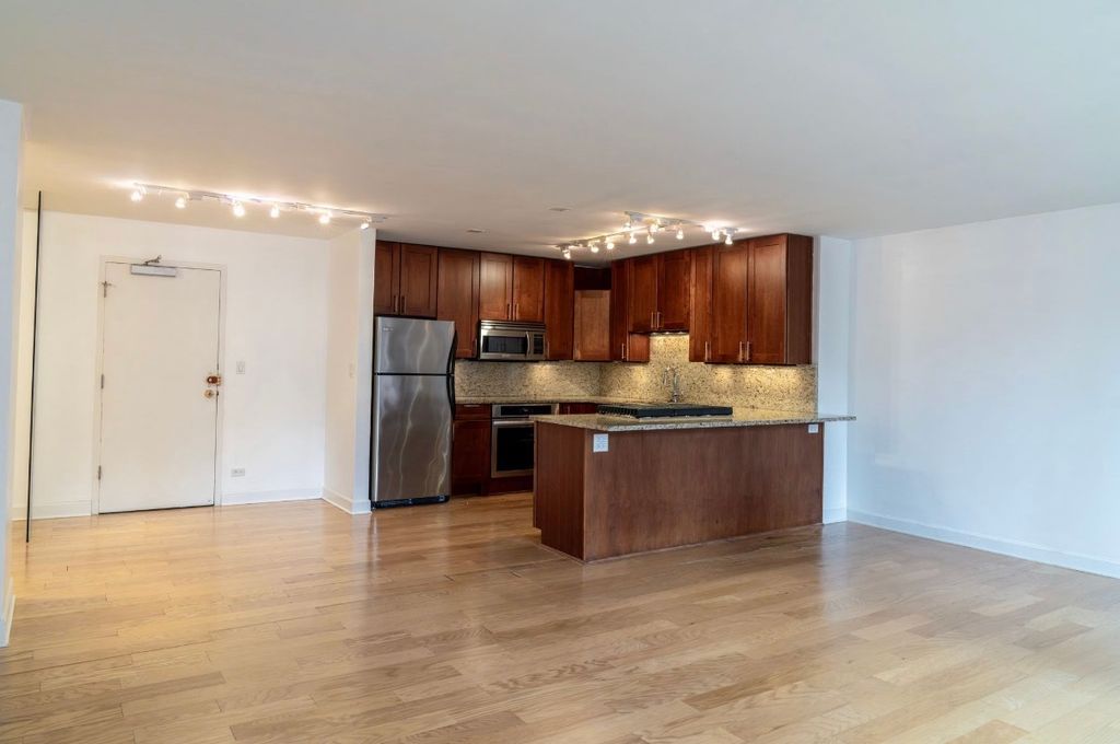 850 N Dewitt Place 10G, Chicago, IL 60611 — photo 5