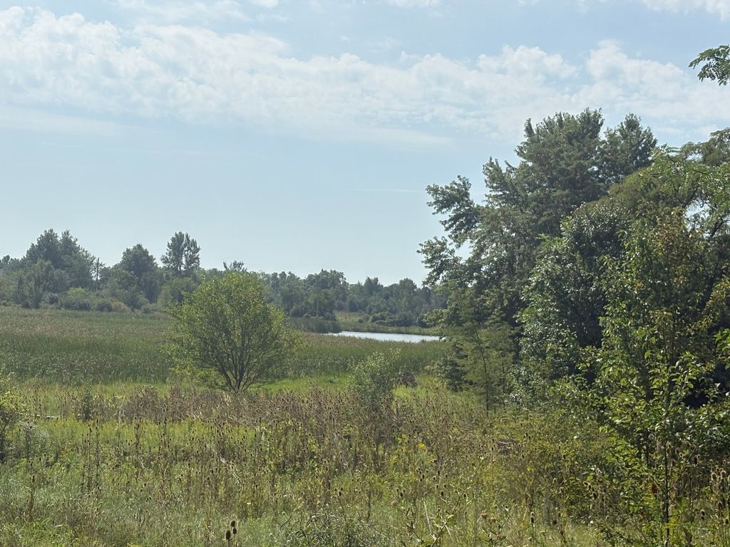 3513-3532 W Pinewood Drive, Monee, IL 60449 — photo 5