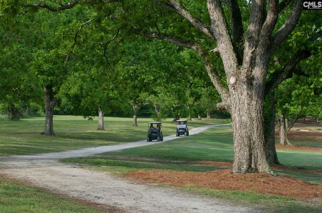 234 Thacher Loop, Elgin, SC 29045
