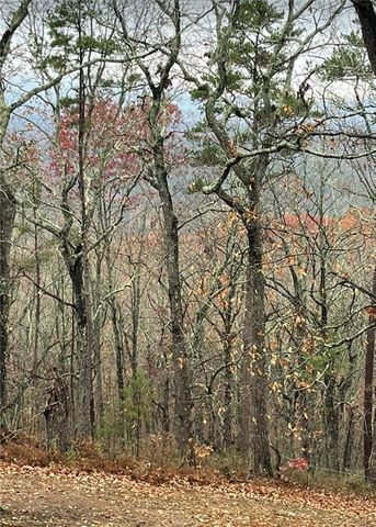 437 Mccurry Trail, Canton, GA 30114