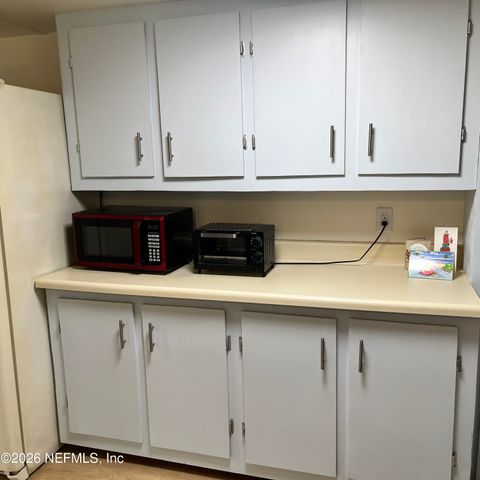 156 HORSETAIL Avenue, Middleburg, FL 32068