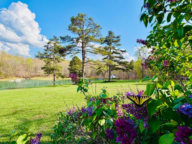 2844 Fairview Church RD, Huddleston, VA 24104