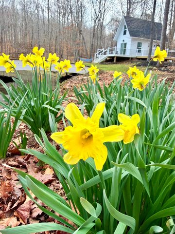 2844 Fairview Church RD, Huddleston, VA 24104