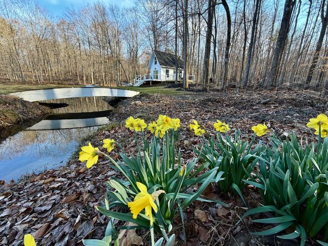 2844 Fairview Church RD, Huddleston, VA 24104