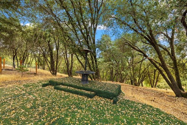 10240 Ponderosa Way, Pine Grove, CA 95665