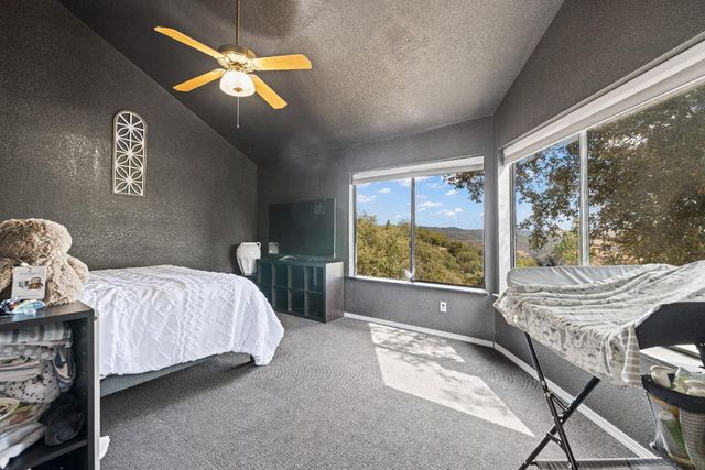 10240 Ponderosa Way, Pine Grove, CA 95665