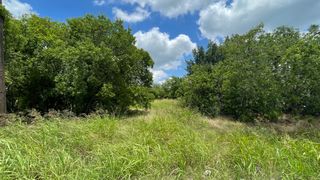 5362 Turnout Lane, Dallas, TX 75236