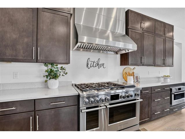 3940 Treadway Pt, Castle Rock, CO 80108