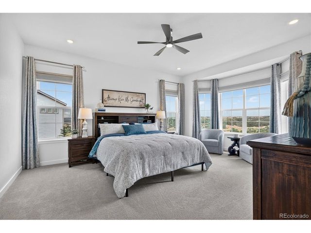 3940 Treadway Pt, Castle Rock, CO 80108