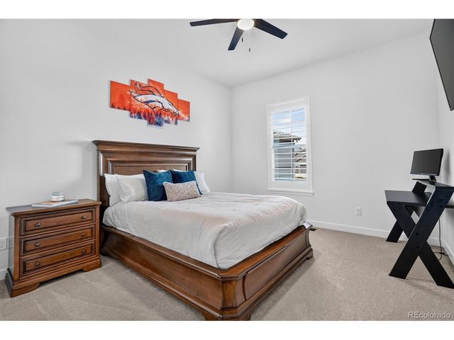 3940 Treadway Pt, Castle Rock, CO 80108