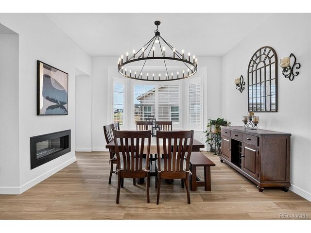 3940 Treadway Pt, Castle Rock, CO 80108