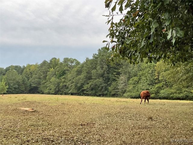 1355 OAK VALLEY Road, Tallassee, AL 36078