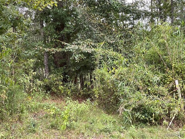 1355 OAK VALLEY Road, Tallassee, AL 36078
