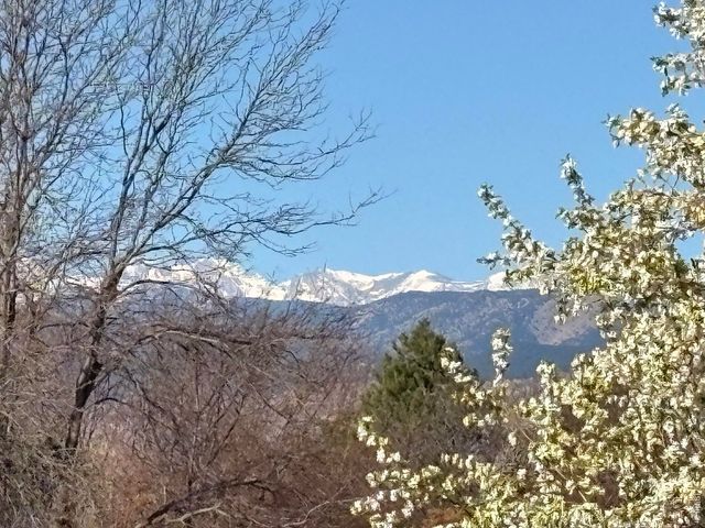 8589 Skyland Dr, Niwot, CO 80503