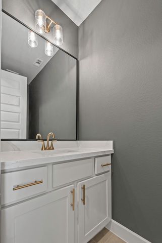 26808 Mustang Springs Court, Montgomery, TX 77316