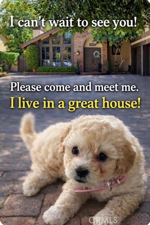 26042 Terra Bella, Laguna Hills, CA 92653