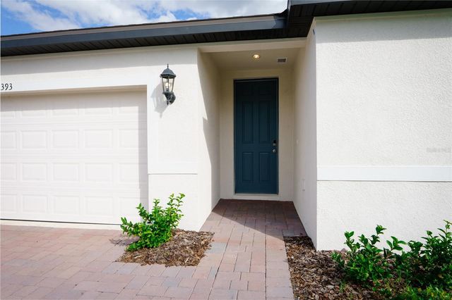 2393 WHITE TAIL STREET, Davenport, FL 33837