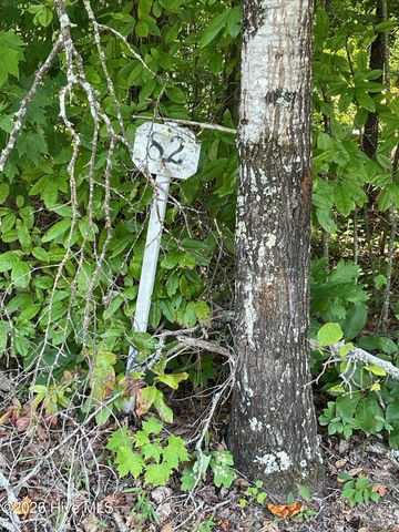81a-82a Licklog Road, Hayesville, NC 28904