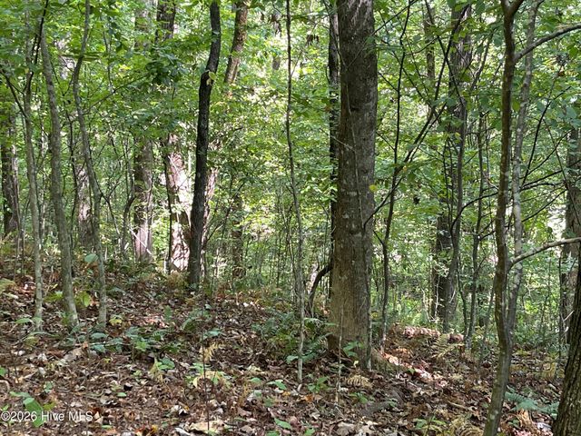 81a-82a Licklog Road, Hayesville, NC 28904