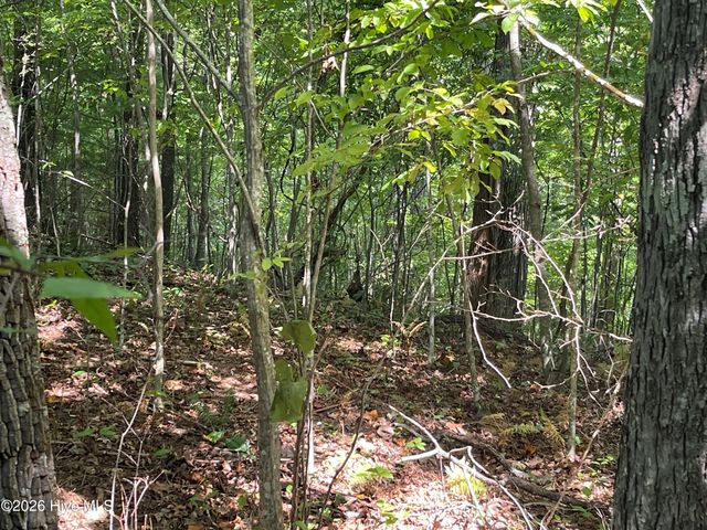 81a-82a Licklog Road, Hayesville, NC 28904
