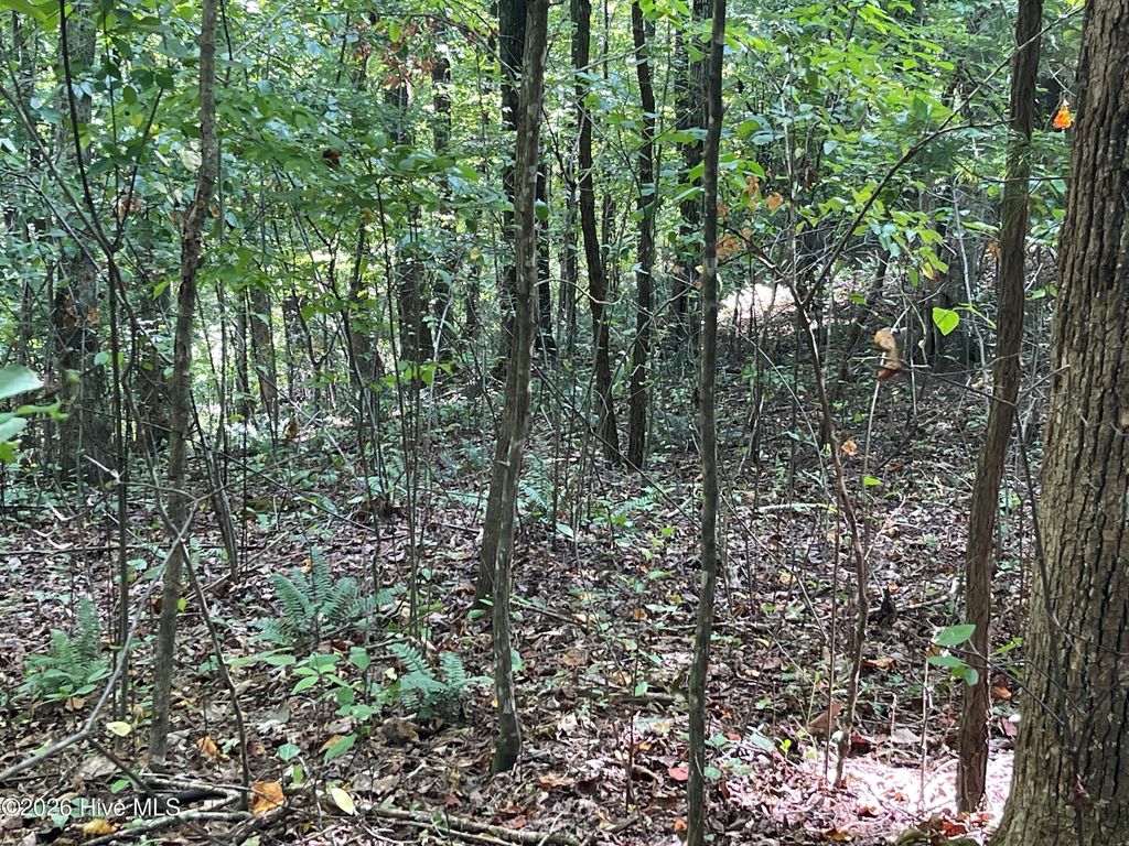 81a-82a Licklog Road, Hayesville, NC 28904