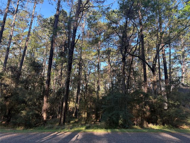 54 Green Tree Drive, Coldspring, TX 77331