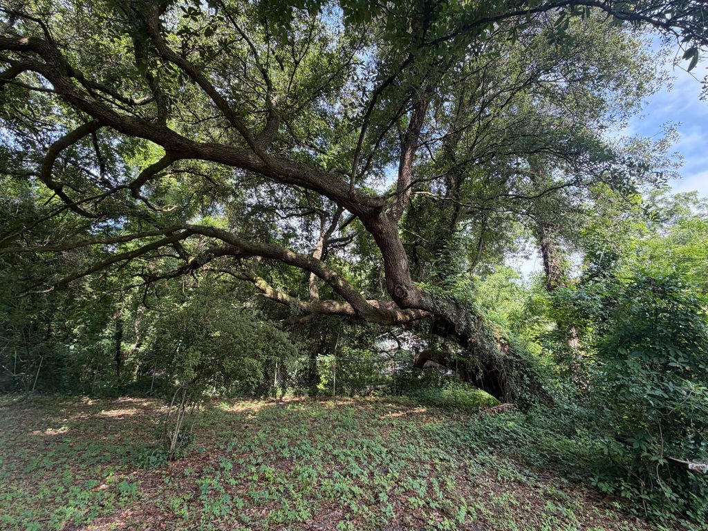107 Lockhart Street, Walterboro, SC 29488