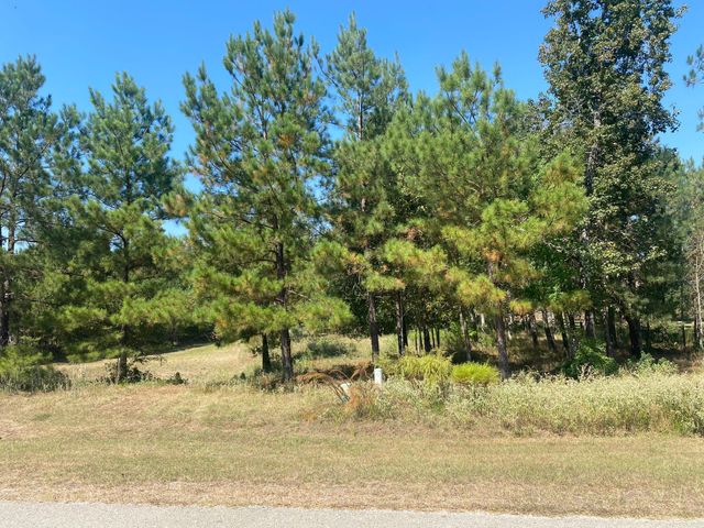 393 Ridge Lake Scenic Drive, Montgomery, TX 77316