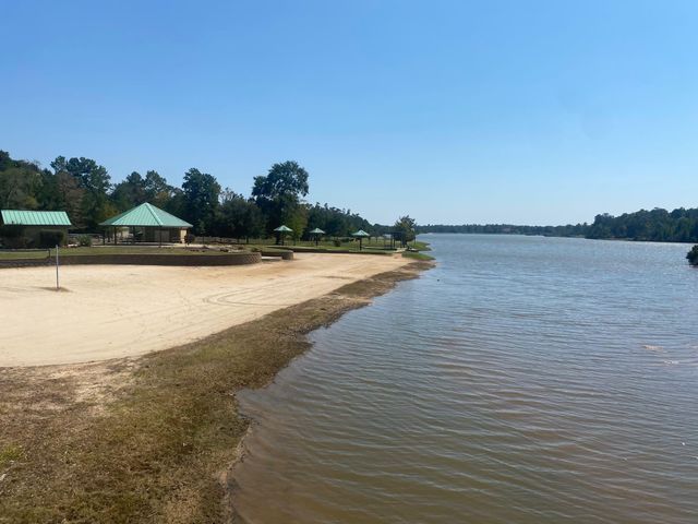 393 Ridge Lake Scenic Drive, Montgomery, TX 77316