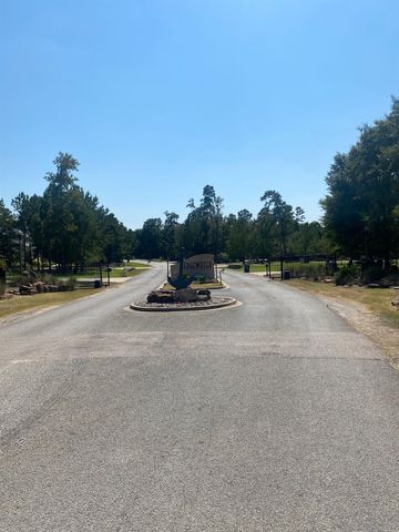 393 Ridge Lake Scenic Drive, Montgomery, TX 77316