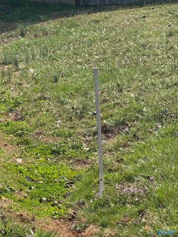 376 Charley Patterson Road, New Market, AL 35761